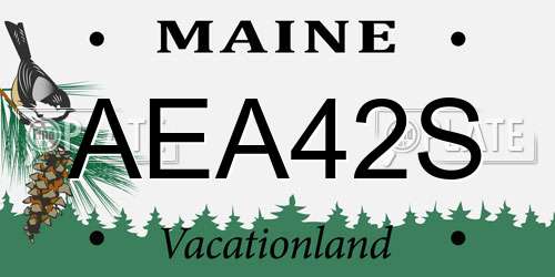 AEA42S Maine License Plate