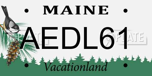 AEDL61 Maine License Plate