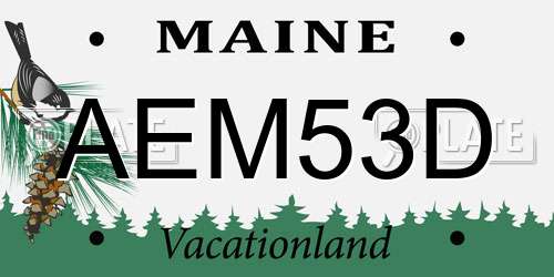 AEM53D Maine License Plate