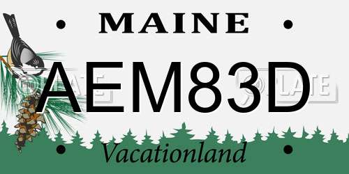 AEM83D Maine License Plate