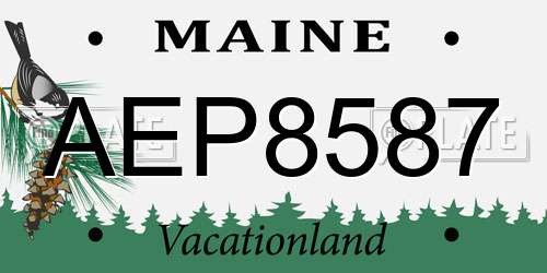 AEP8587 Maine License Plate