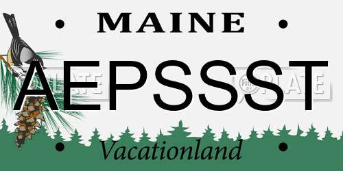 AEPSSST Maine License Plate