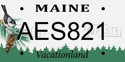 AES821 Maine License Plate