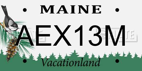 AEX13M Maine License Plate