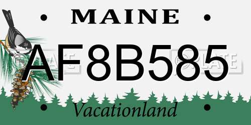 AF8B585 Maine License Plate
