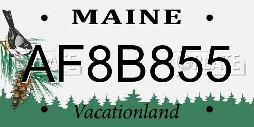 AF8B855 Maine License Plate