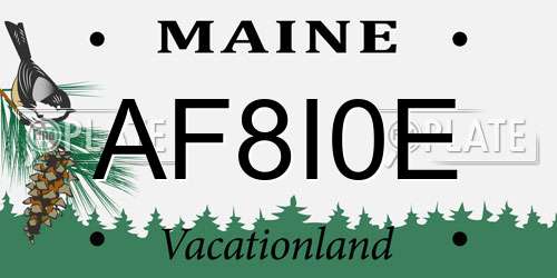 AF8I0E Maine License Plate