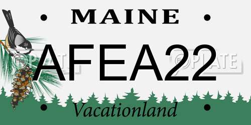 AFEA22 Maine License Plate