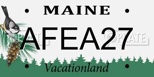 AFEA27 Maine License Plate