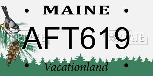 AFT619 Maine License Plate