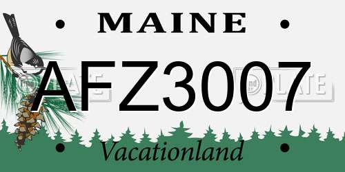 AFZ3007 Maine License Plate