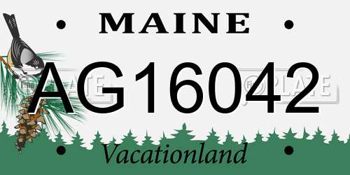 AG16042 Maine License Plate
