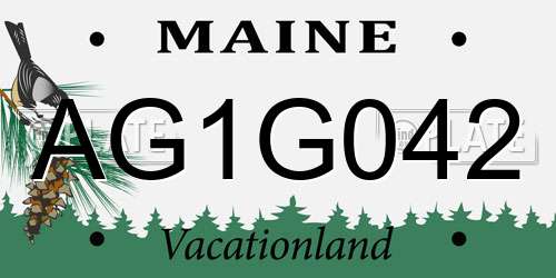 AG1G042 Maine License Plate