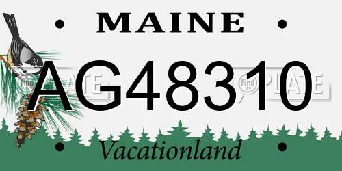 AG48310 Maine License Plate