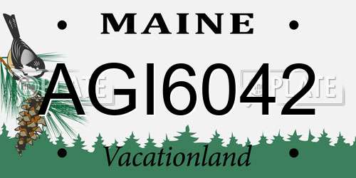 AGI6042 Maine License Plate