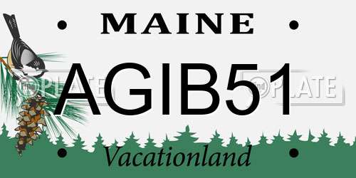 AGIB51 Maine License Plate
