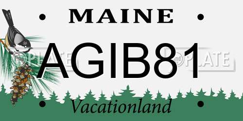 AGIB81 Maine License Plate