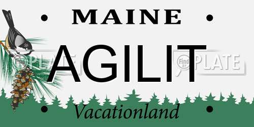 AGILIT Maine License Plate