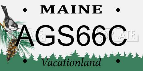 AGS66C Maine License Plate