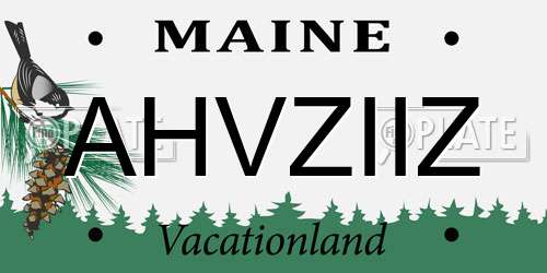 AHVZIIZ Maine License Plate