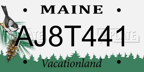 AJ8T441 Maine License Plate