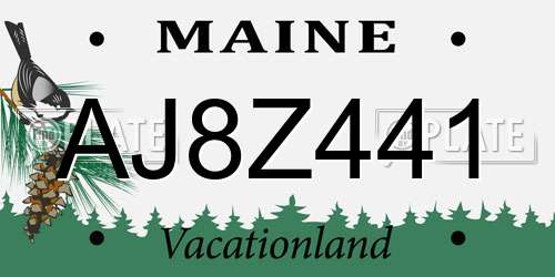 AJ8Z441 Maine License Plate