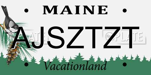 AJSZTZT Maine License Plate