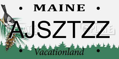 AJSZTZZ Maine License Plate