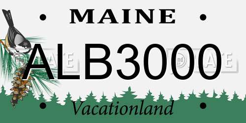 ALB3000 Maine License Plate
