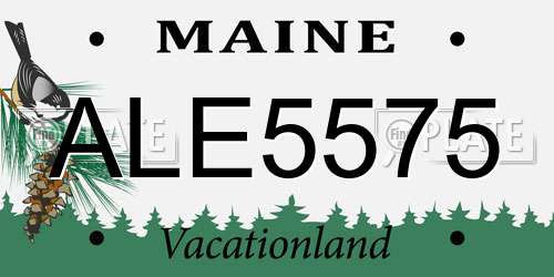 ALE5575 Maine License Plate