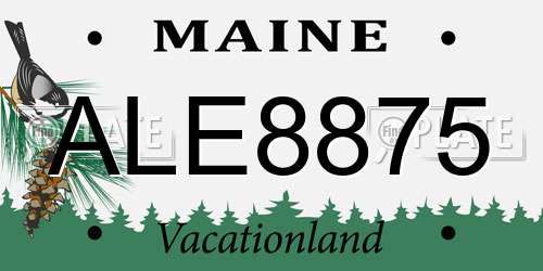 ALE8875 Maine License Plate