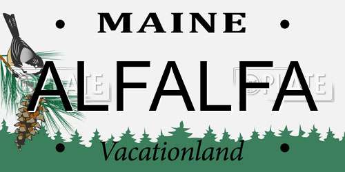 ALFALFA Maine License Plate