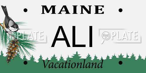 ALI Maine License Plate