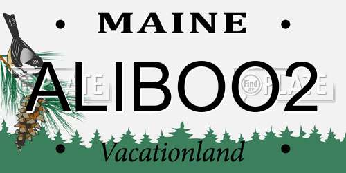 ALIBOO2 Maine License Plate