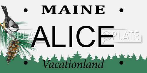 ALICE Maine License Plate