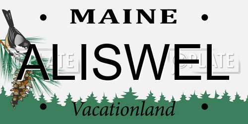 ALISWEL Maine License Plate