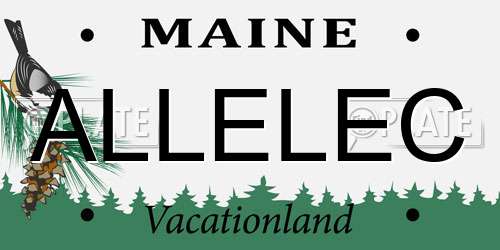 ALLELEC Maine License Plate
