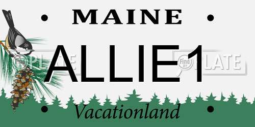 ALLIE1 Maine License Plate