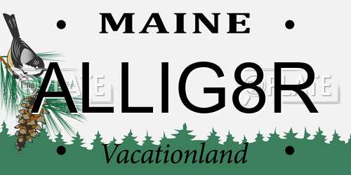 ALLIG8R Maine License Plate