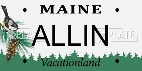 ALLIN Maine License Plate