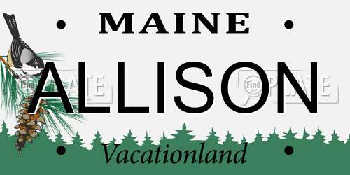ALLISON Maine License Plate