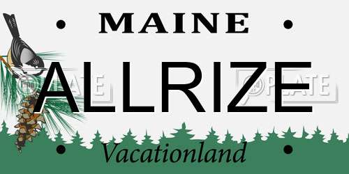 ALLRIZE Maine License Plate