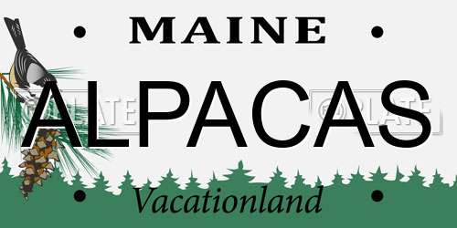 ALPACAS Maine License Plate
