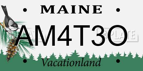 AM4T3O Maine License Plate