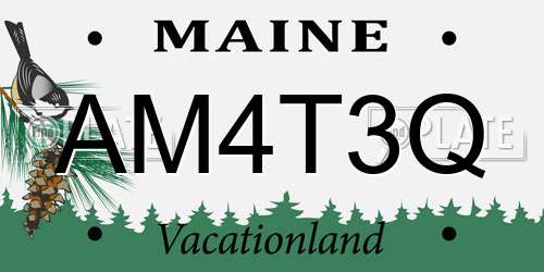 AM4T3Q Maine License Plate