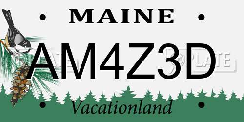 AM4Z3D Maine License Plate