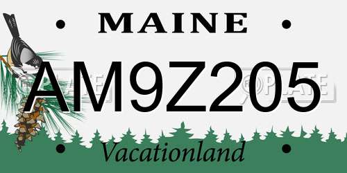 AM9Z205 Maine License Plate