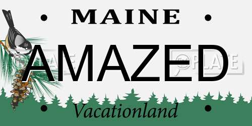 AMAZED Maine License Plate