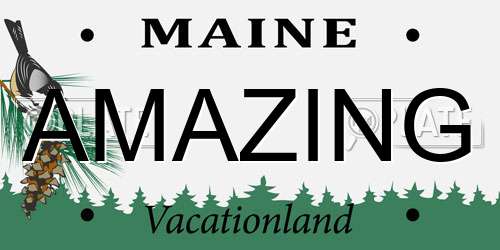 AMAZING Maine License Plate