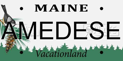 AMEDESE Maine License Plate